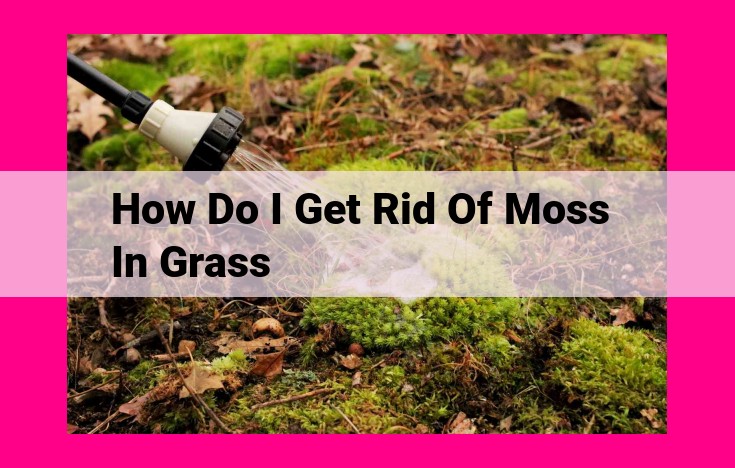 how do i get rid of moss in grass