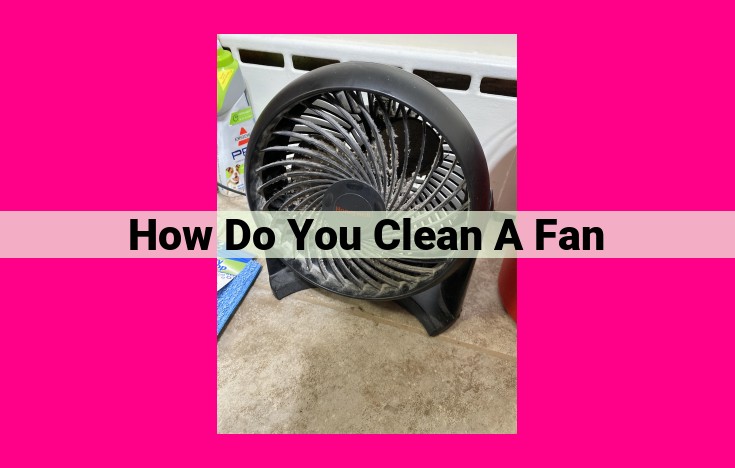 how do you clean a fan