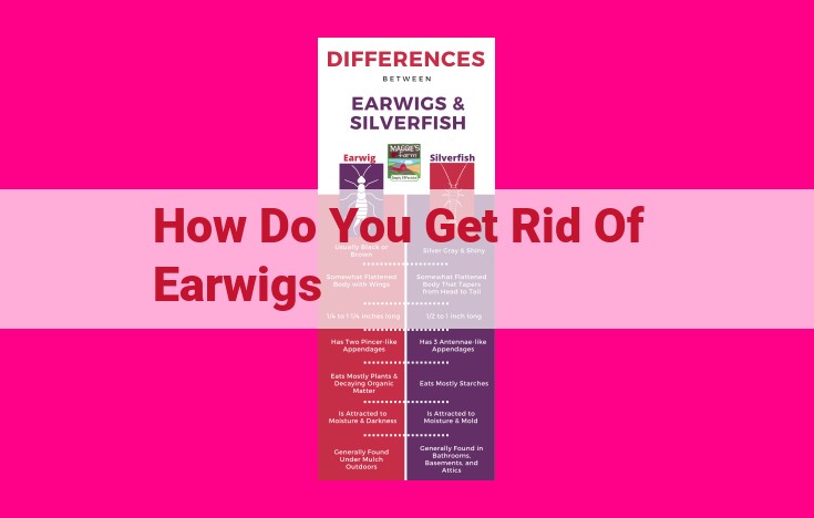 how do you get rid of earwigs