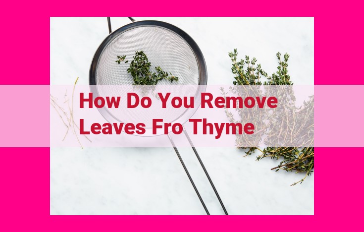 how do you remove leaves fro thyme