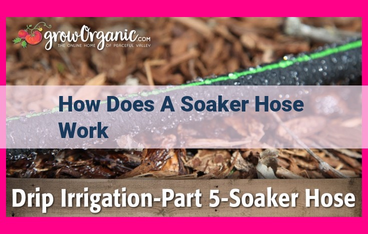 how does a soaker hose work