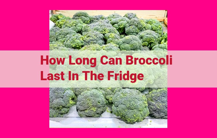 how long can broccoli last in the fridge