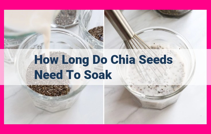 how long do chia seeds need to soak