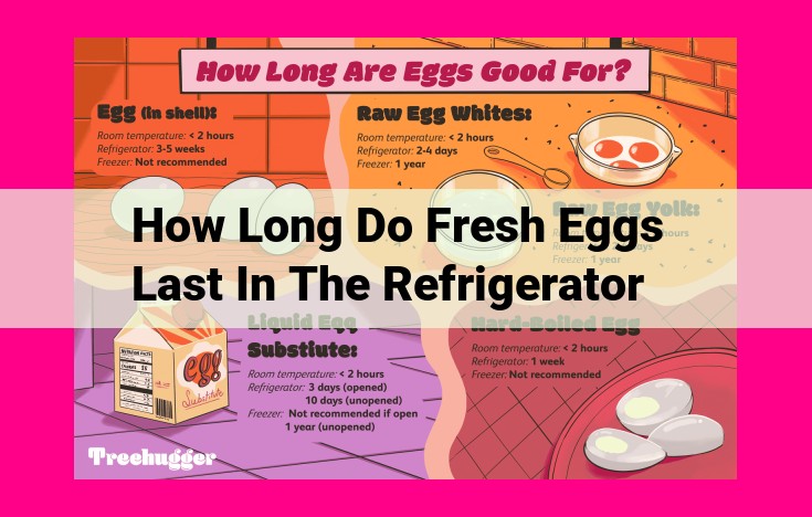 how long do fresh eggs last in the refrigerator