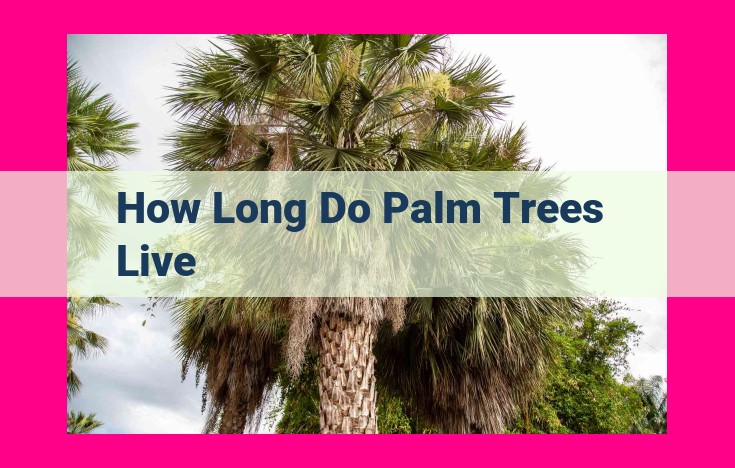 how long do palm trees live