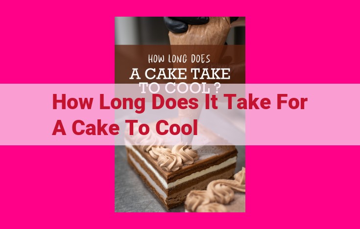 how long does it take for a cake to cool