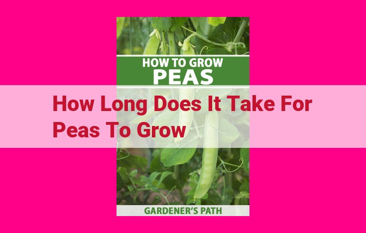 how long does it take for peas to grow