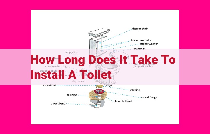 how long does it take to install a toilet