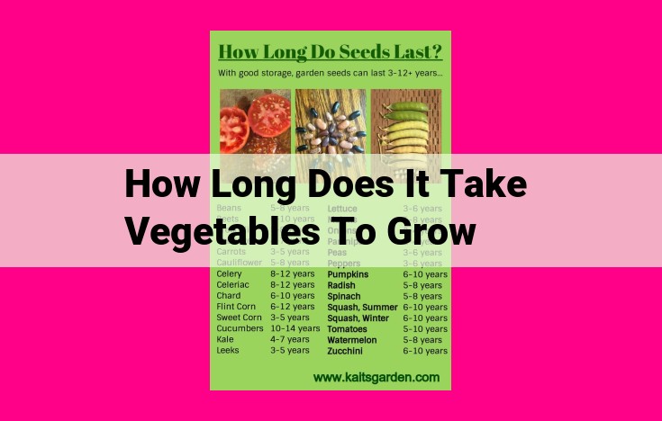 how long does it take vegetables to grow