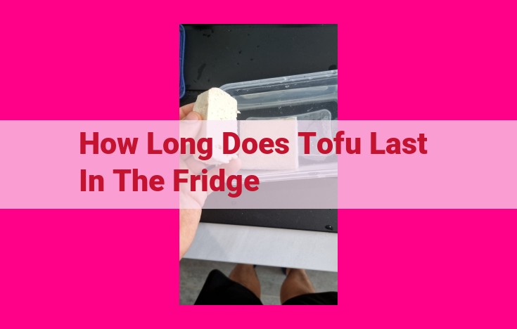 how long does tofu last in the fridge