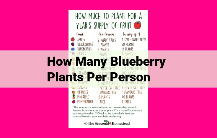 how many blueberry plants per person