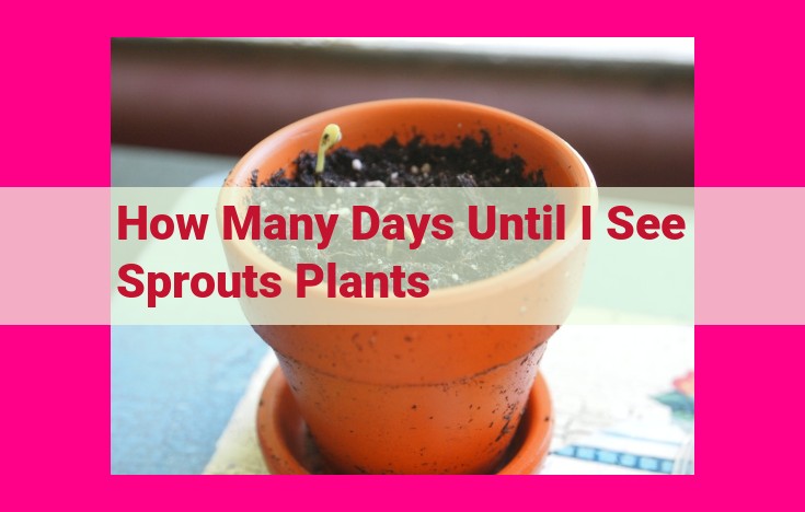 how many days until i see sprouts plants