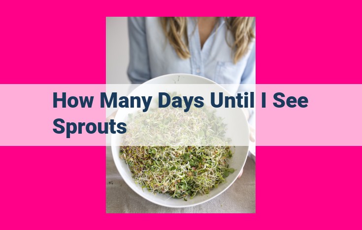 how many days until i see sprouts