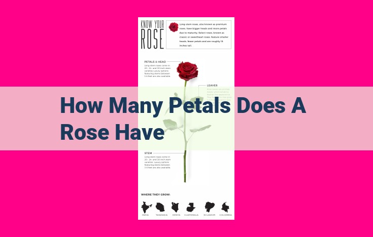 how many petals does a rose have