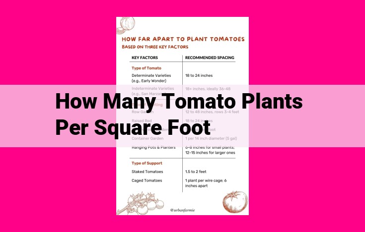 how many tomato plants per square foot