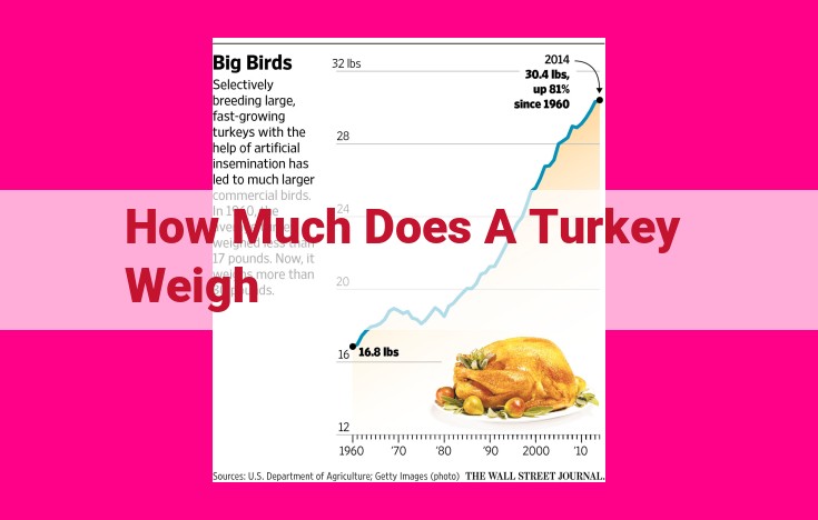 how much does a turkey weigh