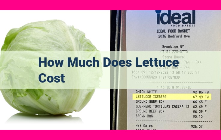 how much does lettuce cost