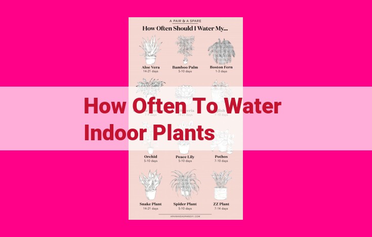 how often to water indoor plants