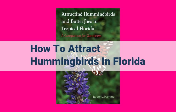 how to attract hummingbirds in florida