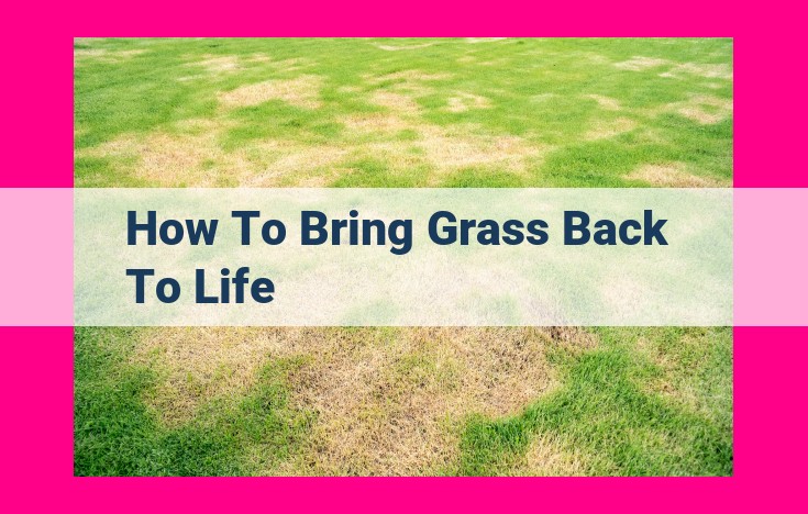 how to bring grass back to life