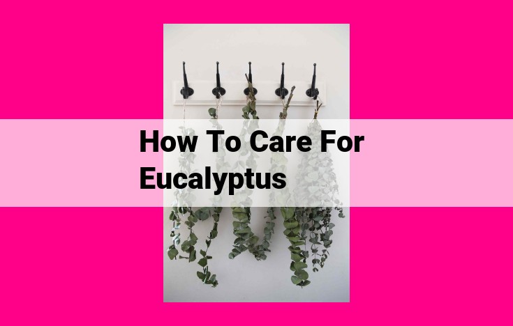 how to care for eucalyptus