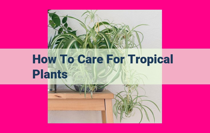 how to care for tropical plants