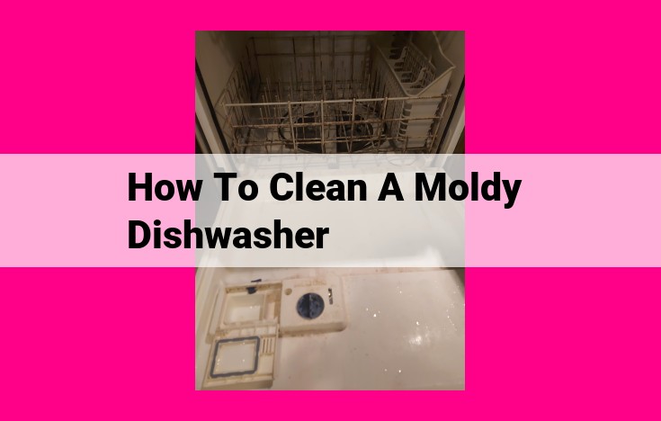 how to clean a moldy dishwasher