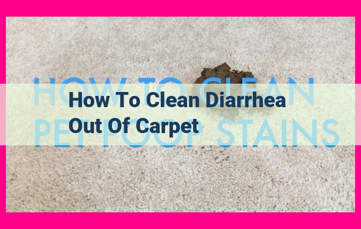 how to clean diarrhea out of carpet