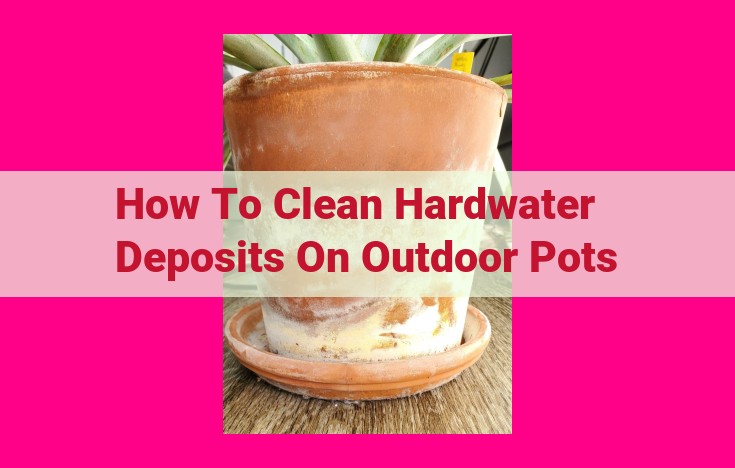 how to clean hardwater deposits on outdoor pots