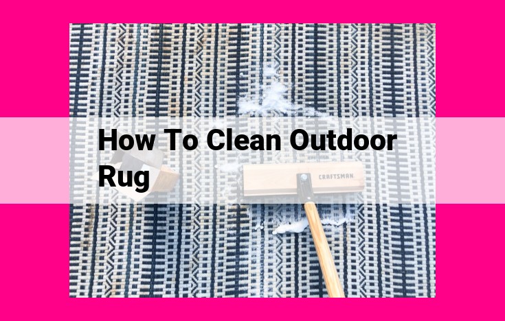 how to clean outdoor rug