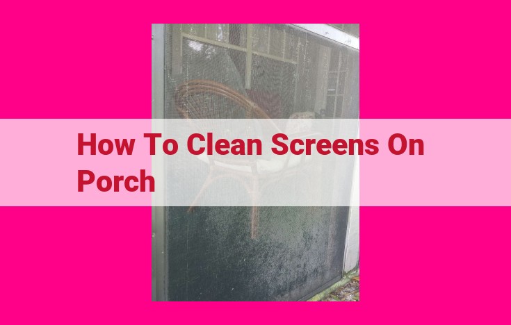 how to clean screens on porch