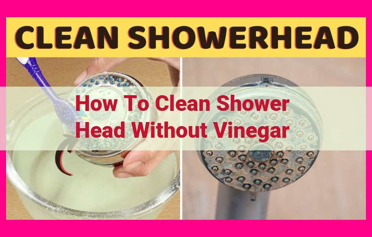 how to clean shower head without vinegar