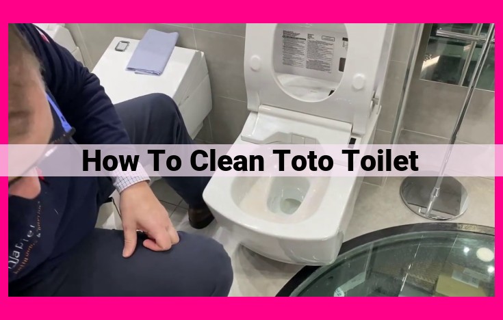 how to clean toto toilet