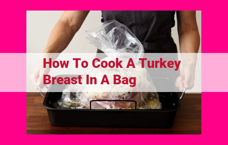 how to cook a turkey breast in a bag