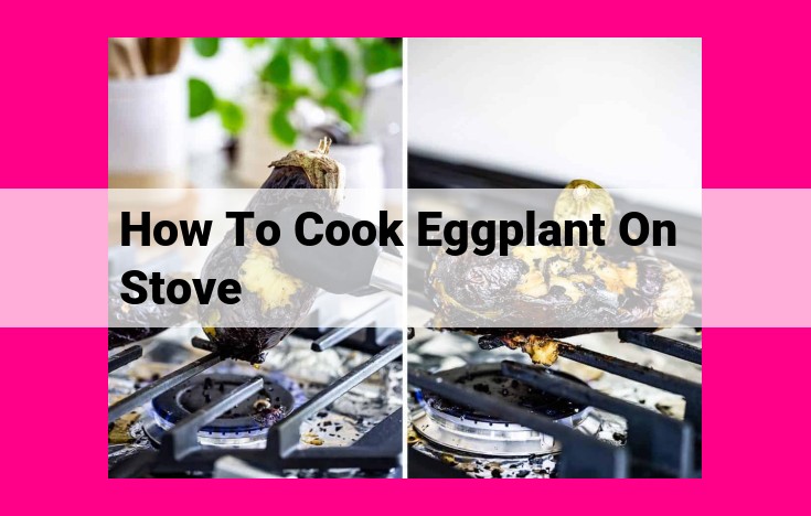 how to cook eggplant on stove