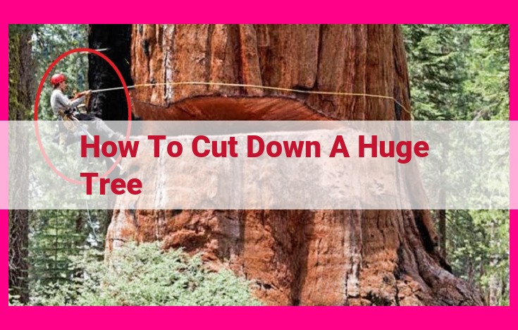 how to cut down a huge tree