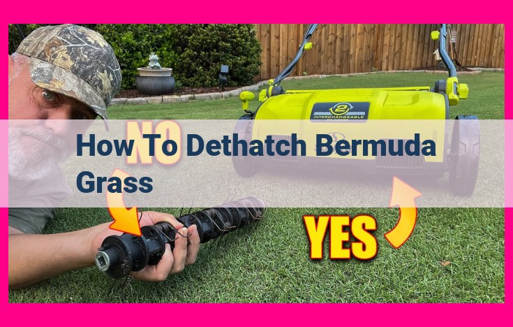 how to dethatch bermuda grass