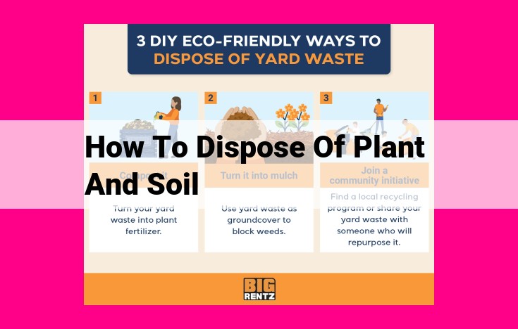 how to dispose of plant and soil