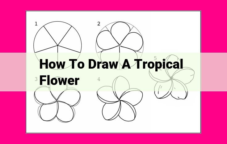 how to draw a tropical flower