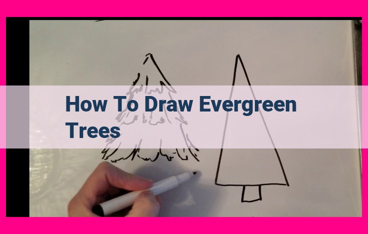 how to draw evergreen trees