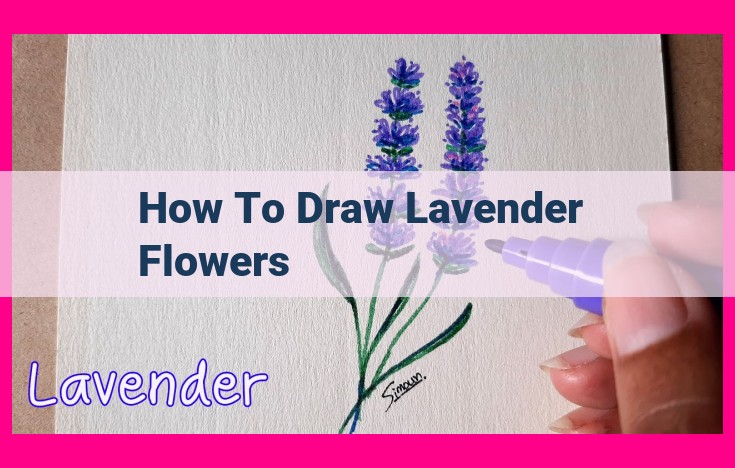 how to draw lavender flowers