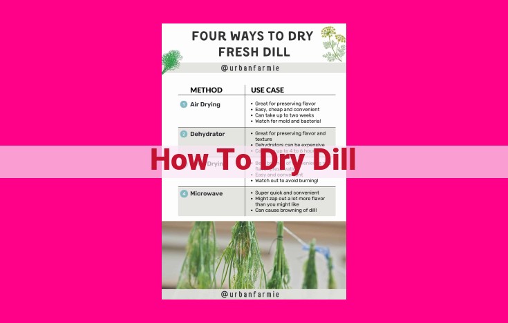 how to dry dill