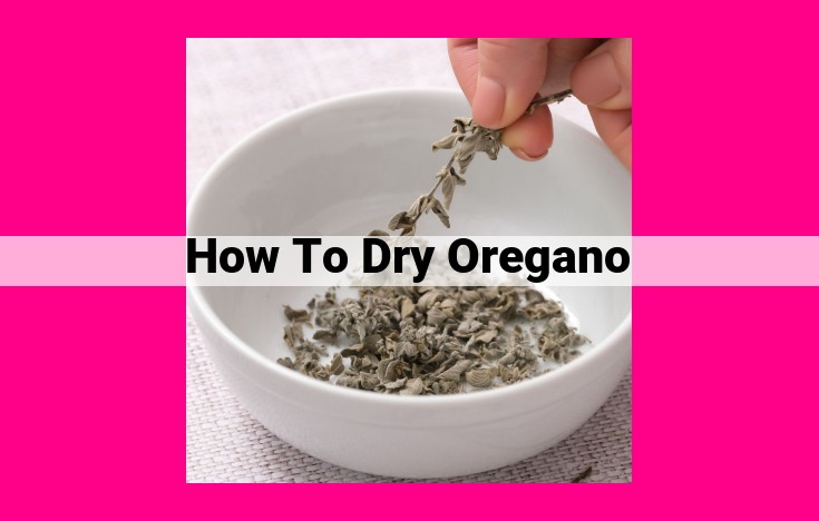 how to dry oregano