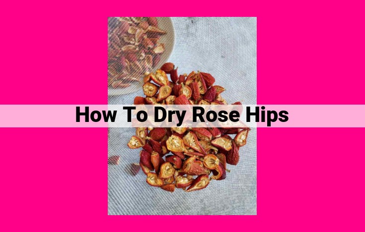 how to dry rose hips