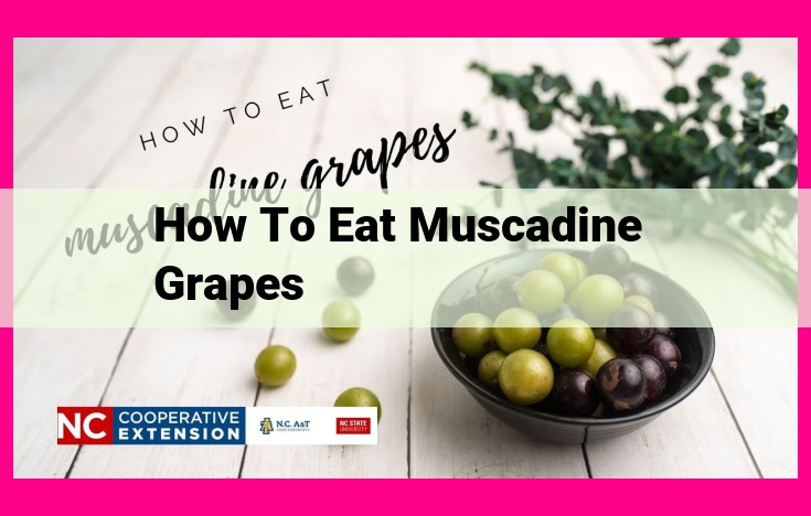 how to eat muscadine grapes