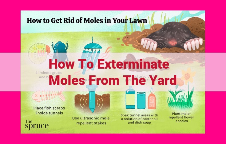 how to exterminate moles from the yard