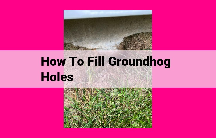 how to fill groundhog holes