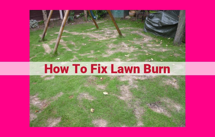 how to fix lawn burn