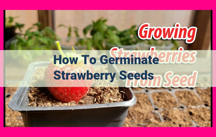 how to germinate strawberry seeds