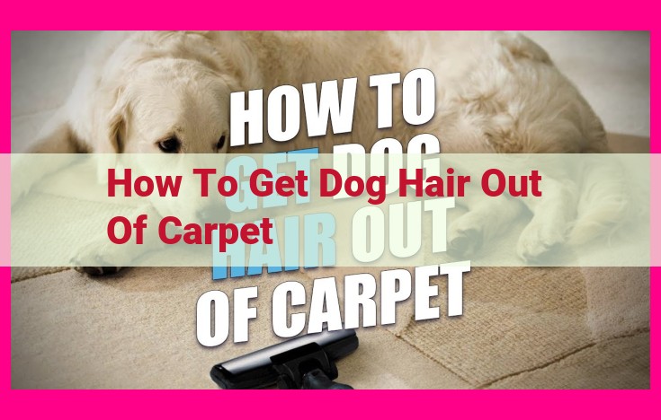 how to get dog hair out of carpet